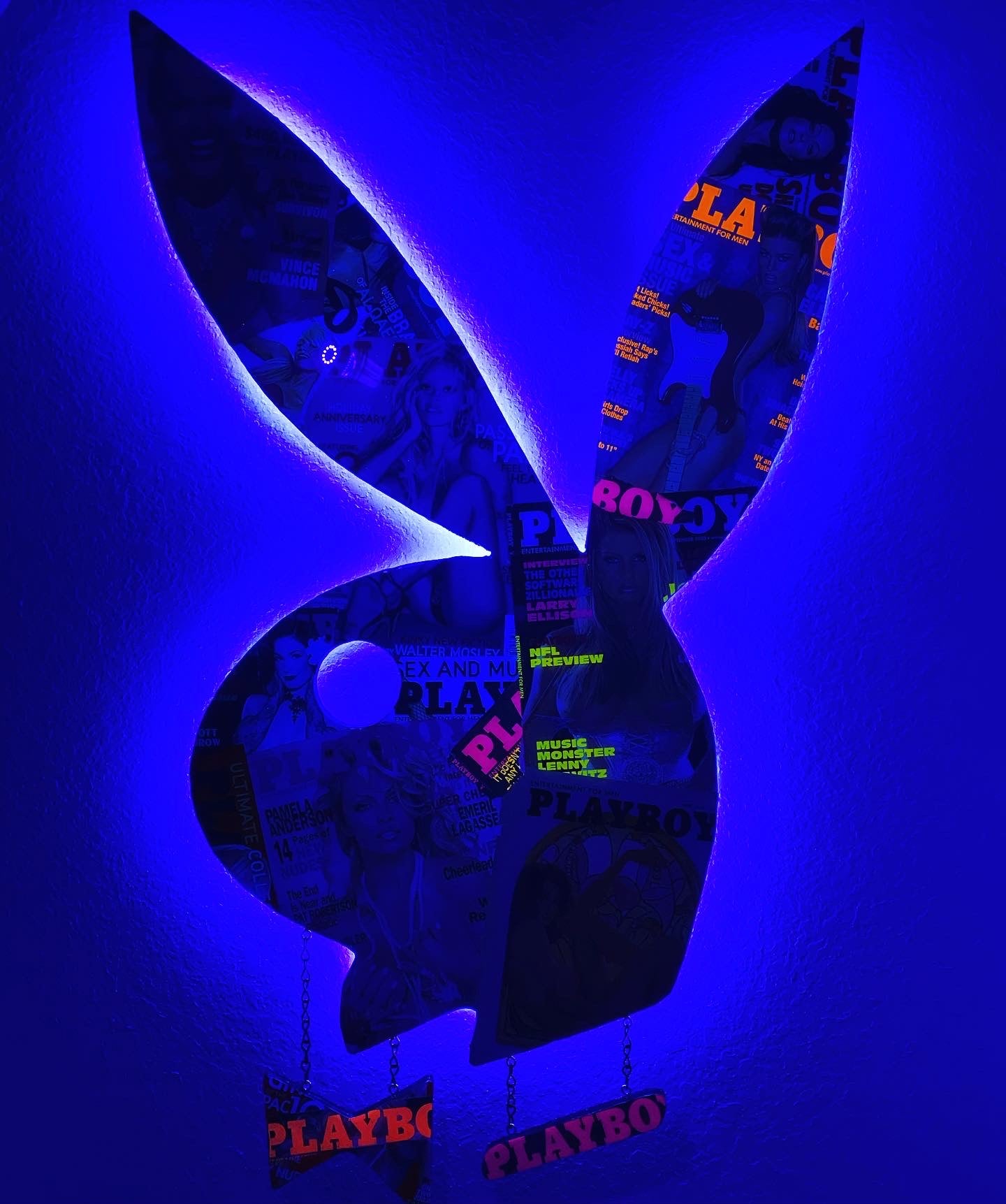 PLAYBOY BUNNY